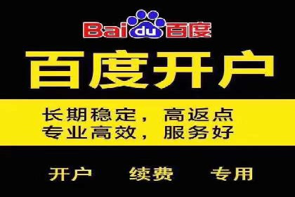 搜索引擎营销（SEM）广告投放的五大成功案例